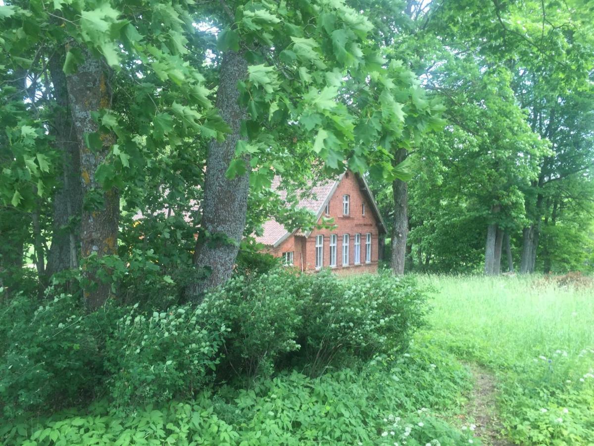 Stara Szkola Nad Jeziorem Czarne  Exterior photo